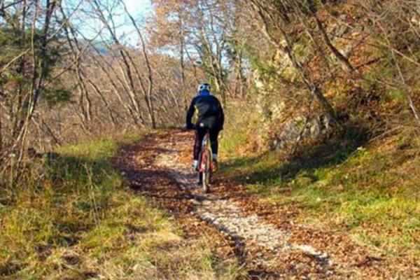 Farmhouse with bicycle rental for excursions near Siena in Tuscany