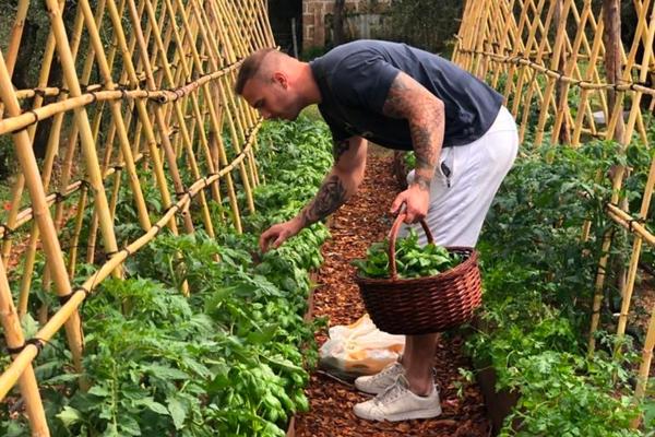 Farmhouse with bioactive vegetable garden