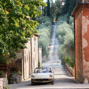 Finally the bride arrives - the car goes through the olive tree alley in Montestigliano, Tuscany