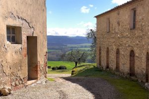 MONTESTIGLIANO SPRING LANDSCAPE